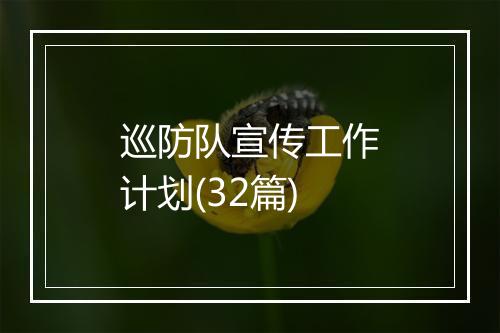 巡防队宣传工作计划(32篇)