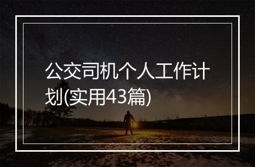 公交司机个人工作计划(实用43篇)