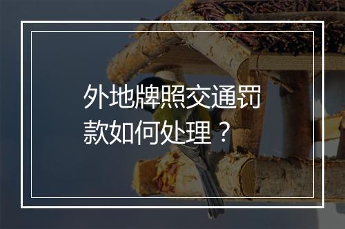 外地牌照交通罚款如何处理？