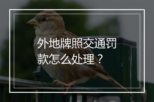 外地牌照交通罚款怎么处理？