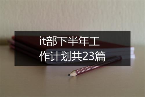it部下半年工作计划共23篇