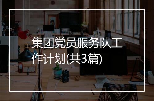 集团党员服务队工作计划(共3篇)