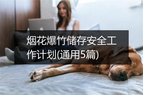 烟花爆竹储存安全工作计划(通用5篇)