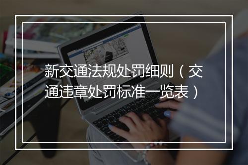 新交通法规处罚细则（交通违章处罚标准一览表）