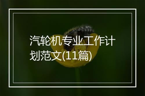 汽轮机专业工作计划范文(11篇)