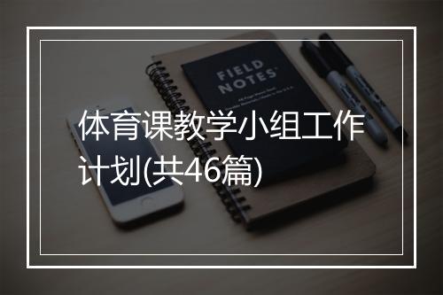 体育课教学小组工作计划(共46篇)
