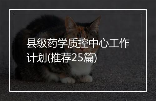 县级药学质控中心工作计划(推荐25篇)