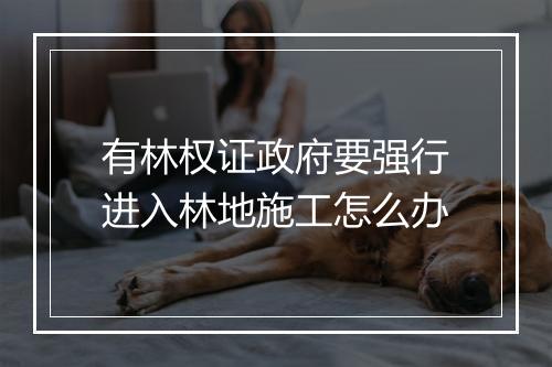 有林权证政府要强行进入林地施工怎么办