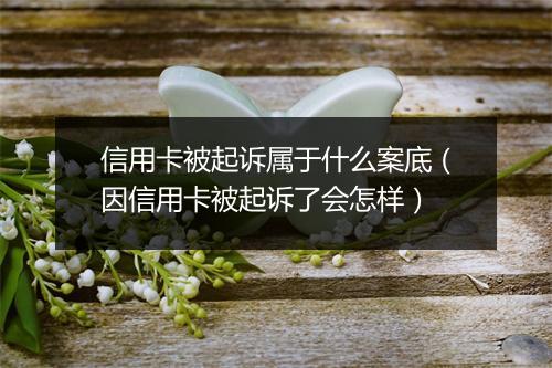 信用卡被起诉属于什么案底（因信用卡被起诉了会怎样）