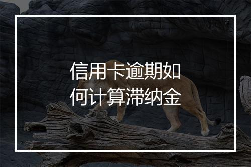 信用卡逾期如何计算滞纳金