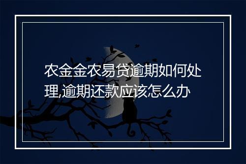 农金金农易贷逾期如何处理,逾期还款应该怎么办