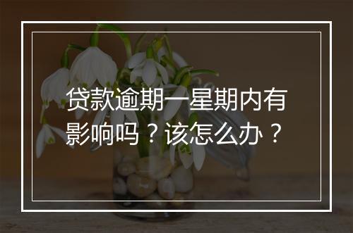 贷款逾期一星期内有影响吗？该怎么办？
