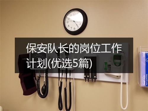 保安队长的岗位工作计划(优选5篇)