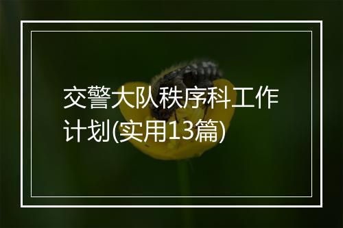 交警大队秩序科工作计划(实用13篇)