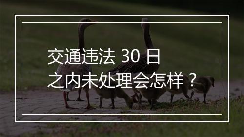 交通违法 30 日之内未处理会怎样？