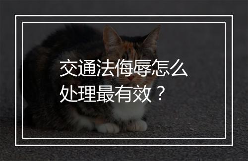 交通法侮辱怎么处理最有效？