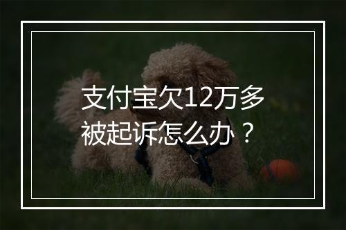 支付宝欠12万多被起诉怎么办？