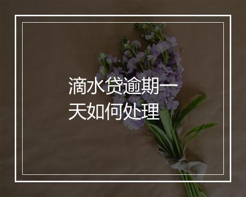 滴水贷逾期一天如何处理