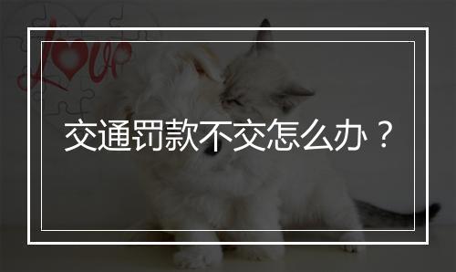 交通罚款不交怎么办？