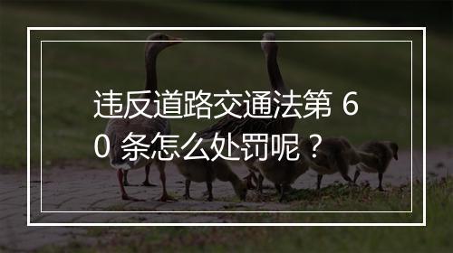 违反道路交通法第 60 条怎么处罚呢？