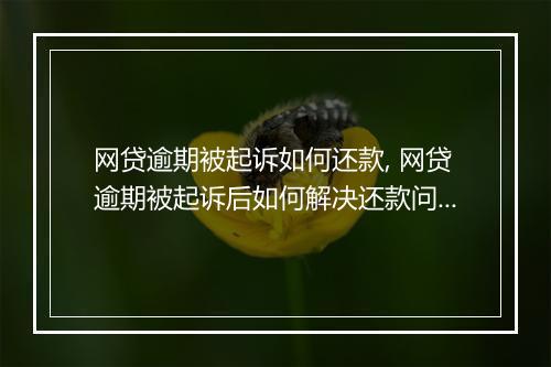 网贷逾期被起诉如何还款, 网贷逾期被起诉后如何解决还款问题