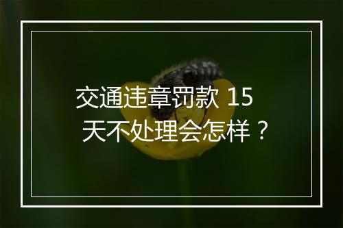 交通违章罚款 15 天不处理会怎样？