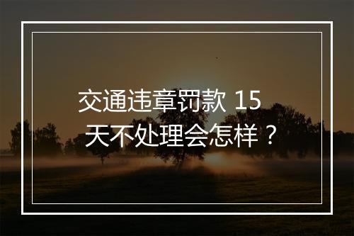 交通违章罚款 15 天不处理会怎样？