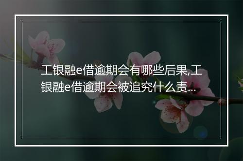 工银融e借逾期会有哪些后果,工银融e借逾期会被追究什么责任