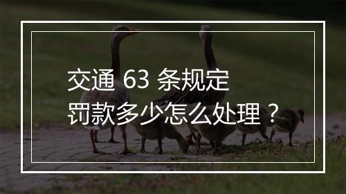 交通 63 条规定罚款多少怎么处理？