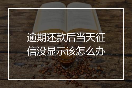 逾期还款后当天征信没显示该怎么办