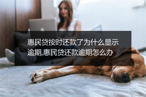 惠民贷按时还款了为什么显示逾期,惠民贷还款逾期怎么办