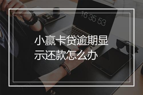 小赢卡贷逾期显示还款怎么办
