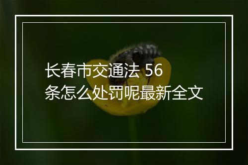 长春市交通法 56 条怎么处罚呢最新全文