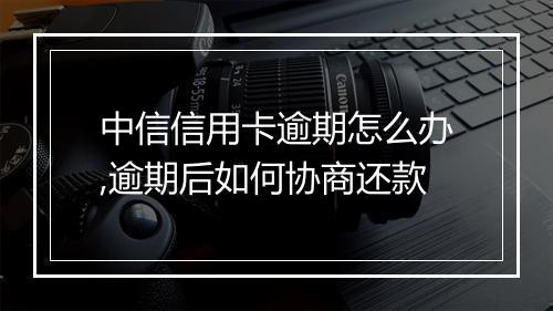 中信信用卡逾期怎么办,逾期后如何协商还款