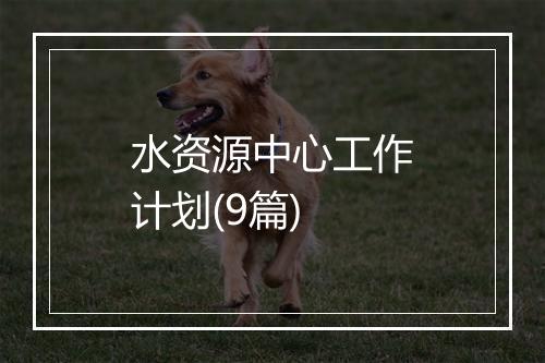 水资源中心工作计划(9篇)