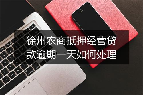 徐州农商抵押经营贷款逾期一天如何处理