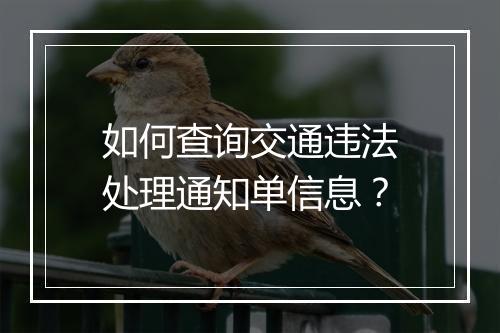 如何查询交通违法处理通知单信息？