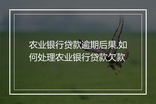 农业银行贷款逾期后果,如何处理农业银行贷款欠款