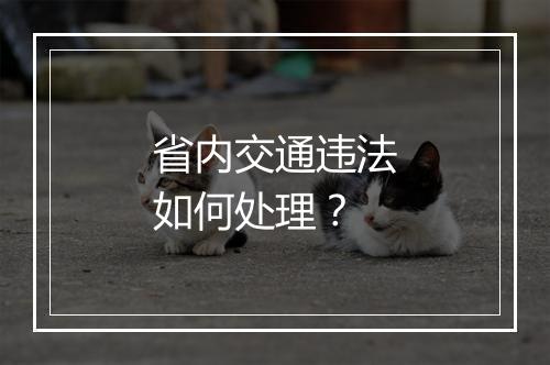 省内交通违法如何处理？