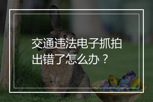 交通违法电子抓拍出错了怎么办？