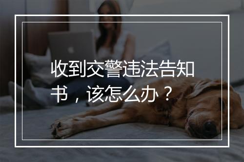 收到交警违法告知书，该怎么办？