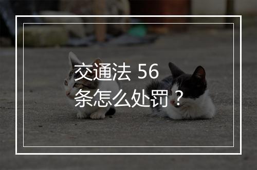 交通法 56 条怎么处罚？