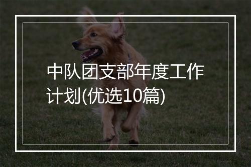 中队团支部年度工作计划(优选10篇)