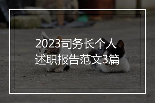 2023司务长个人述职报告范文3篇