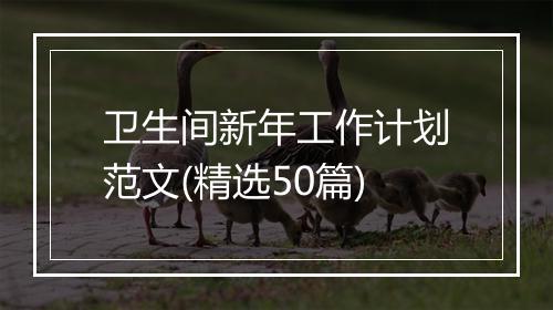 卫生间新年工作计划范文(精选50篇)