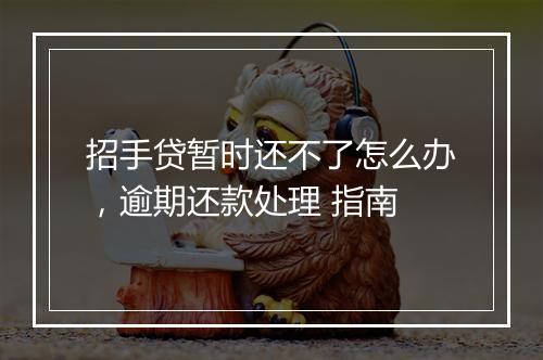 招手贷暂时还不了怎么办，逾期还款处理 指南