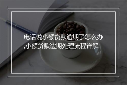 电话说小额贷款逾期了怎么办,小额贷款逾期处理流程详解