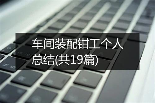 车间装配钳工个人总结(共19篇)