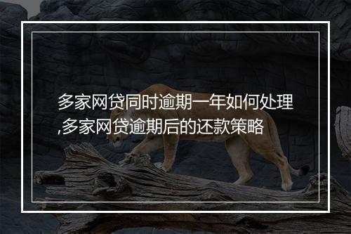 多家网贷同时逾期一年如何处理,多家网贷逾期后的还款策略