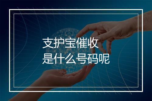 支护宝催收 是什么号码呢